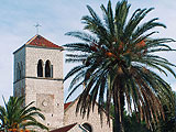 Dom i okolica